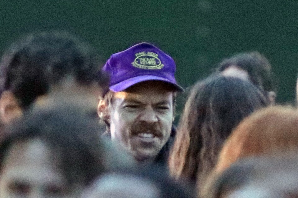 Harry Styles at a music festival.