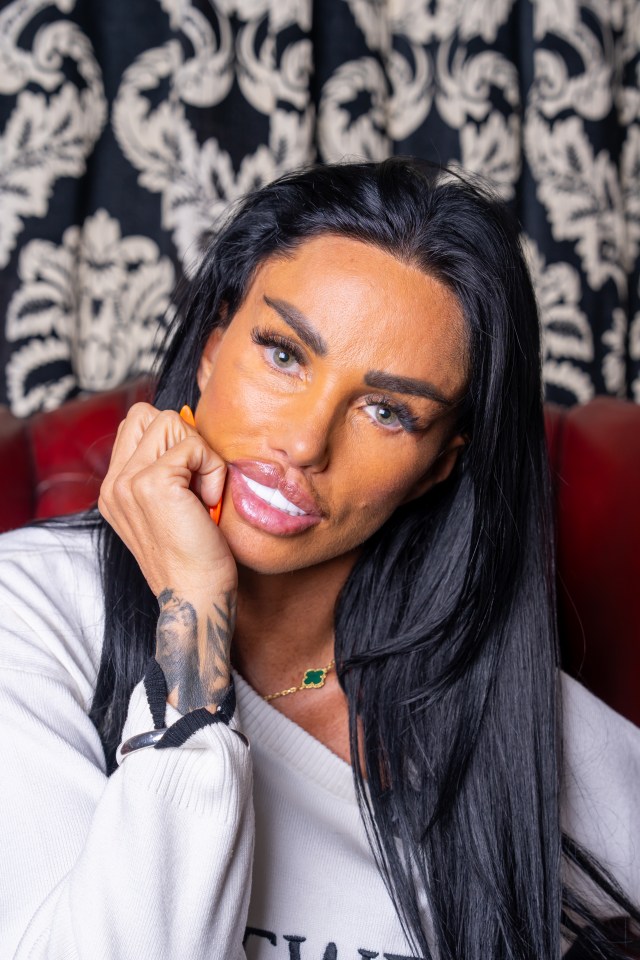 Katie Price speaking at the Cambridge Union.