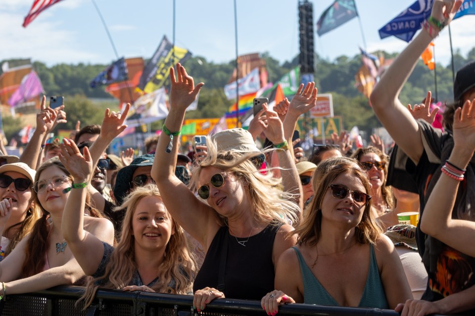 Crowd cheering at a music festival.