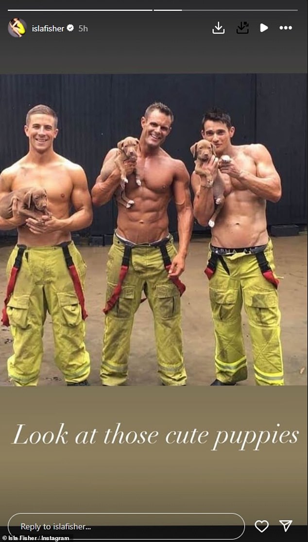 The 49-year-old Aussie actress, who finalised her divorce with the Borat star on Friday, took to Instagram to share a sexy snap to her story of three shirtless firemen holding puppies