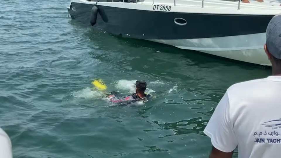 A diver in the water near a boat.