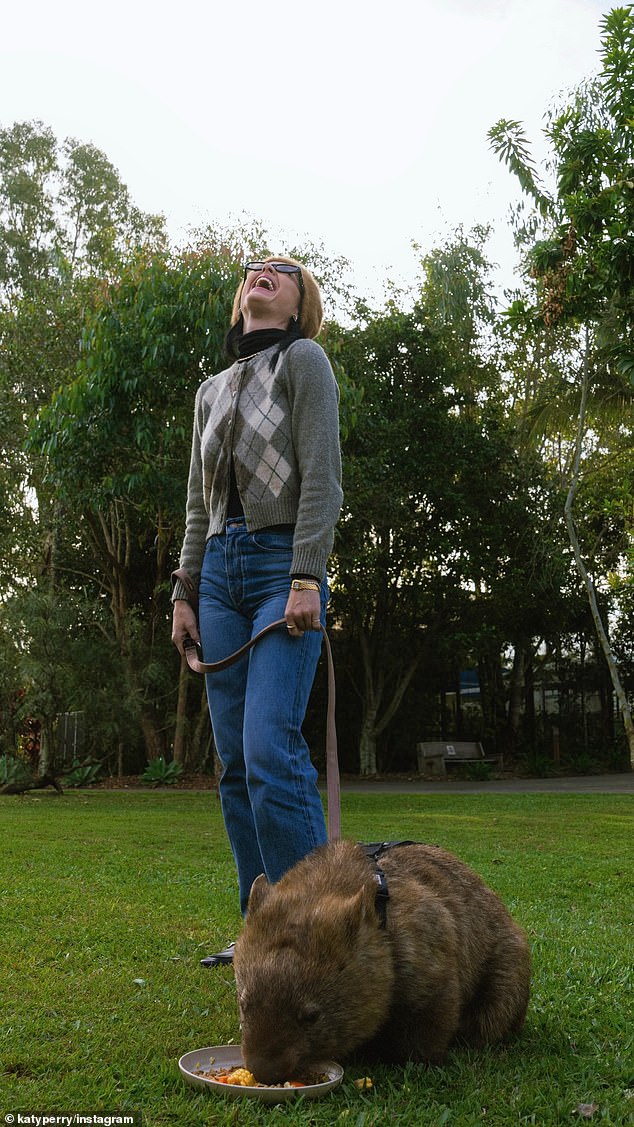 During the outing, Katy got up close and personal with a variety of Aussie wildlife including a kangaroo, koala and wombat
