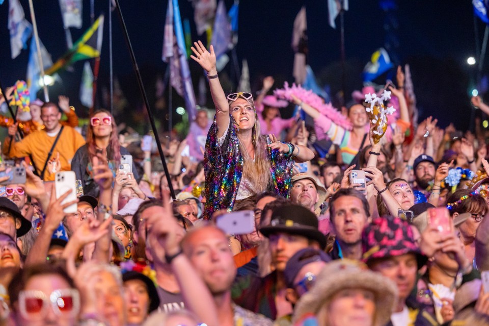 Crowd at a music festival cheering.