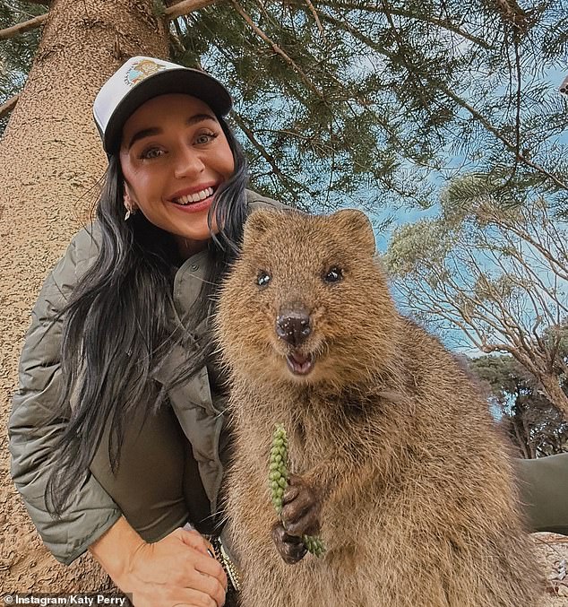 The US popstar has shared videos and photos to Instagram on Friday that saw her living the high life with quokkas on Rottnest Island, Western Australia