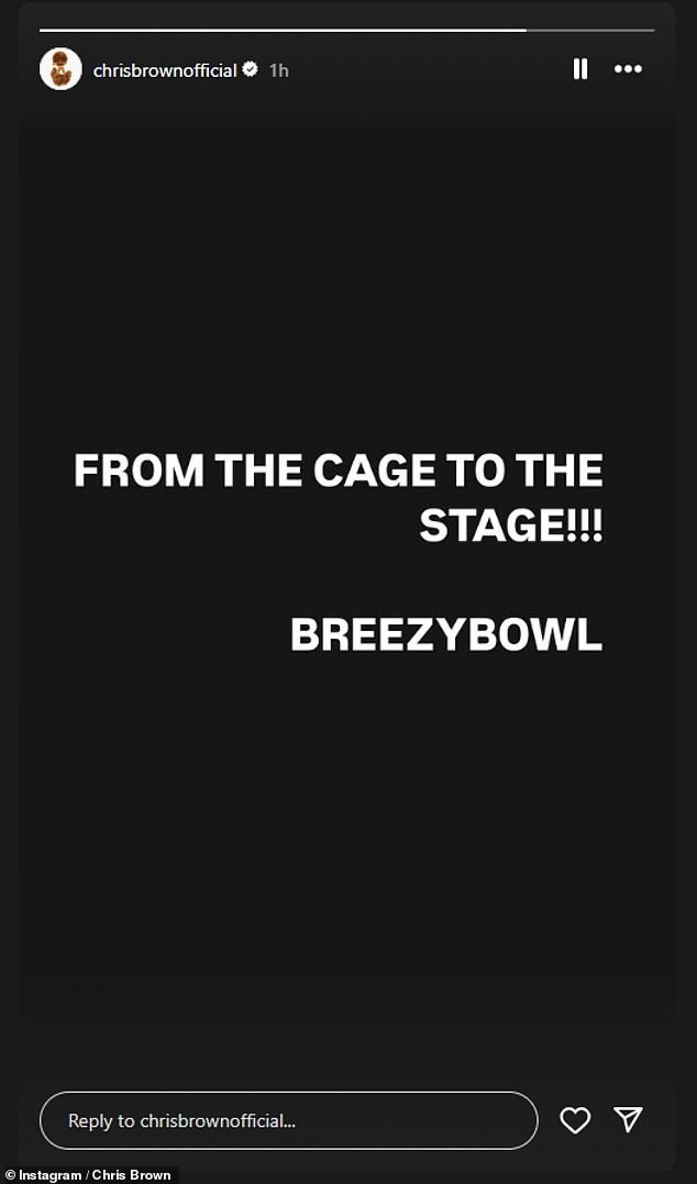 Shortly after Chris was released from prison on remand last month, he posted an Instagram story to tell his 144million followers: 'From the cage to the stage!!!'