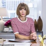 A source who was at the meeting told the Daily Mail that it had come as 'a shock' when Wintour - seemingly out of the blue - revealed the change