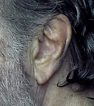Selleck appears to have dyed his hair recently with the dark stains on his ear's cartilage