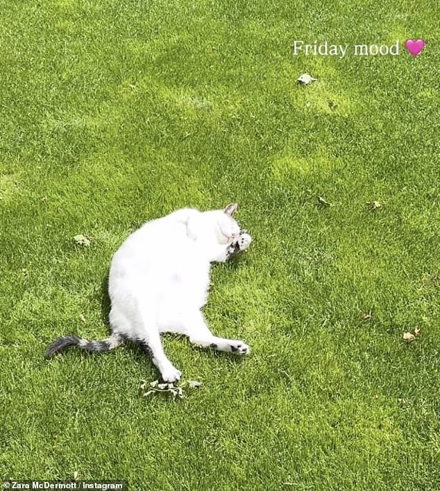 Zara shared a photo of her cat to her Instagram Story as she spent some time at her family home