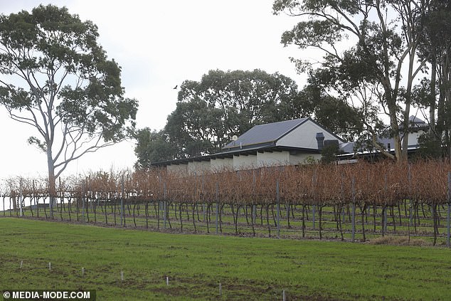 It can be found in a scenic location amid a vineyard