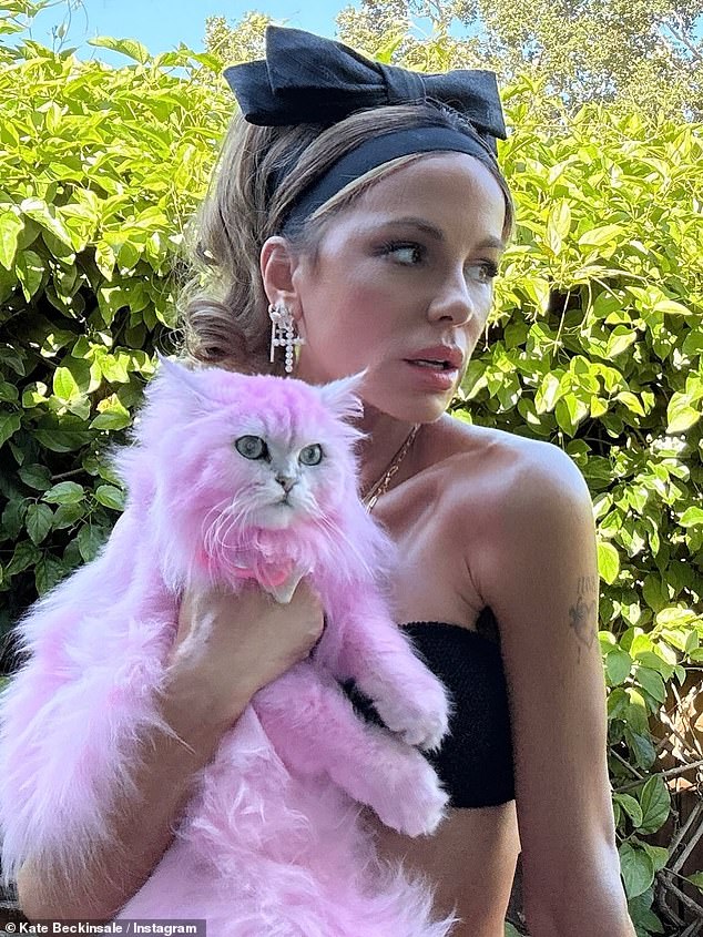 She shared an update from her trip away with her pet cat and dog to Instagram