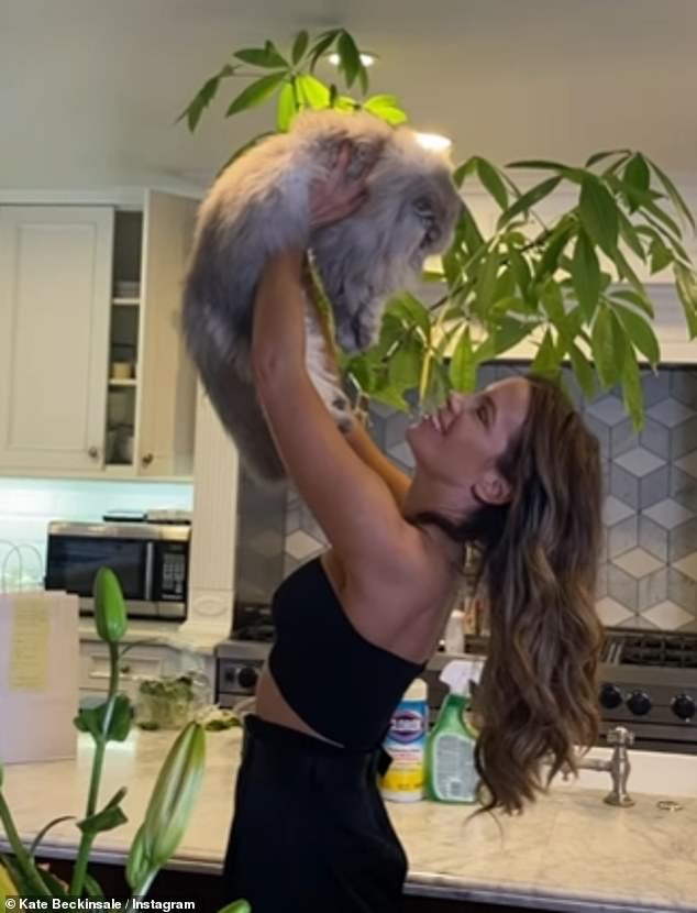 She called the feline 'the love of my life' as she shared several snaps and video clips of the pair together