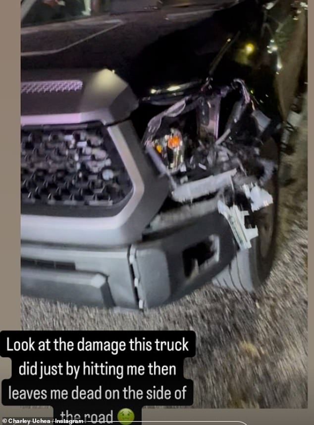 Alongside a picture of a smashed-up car, she added: 'Look at the damage this truck did just by hitting me, then leaves me [for] dead on the side of the road'