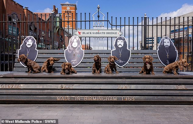 Marking the occasion, West Midlands Police even paid tribute to Black Sabbath by naming a litter of puppies in their honour