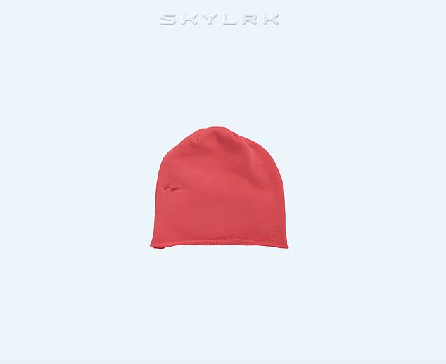 The 'Beanie' retails for $40