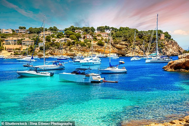 The island has become the latest hot spot for stars (Portals Vells, pictured)