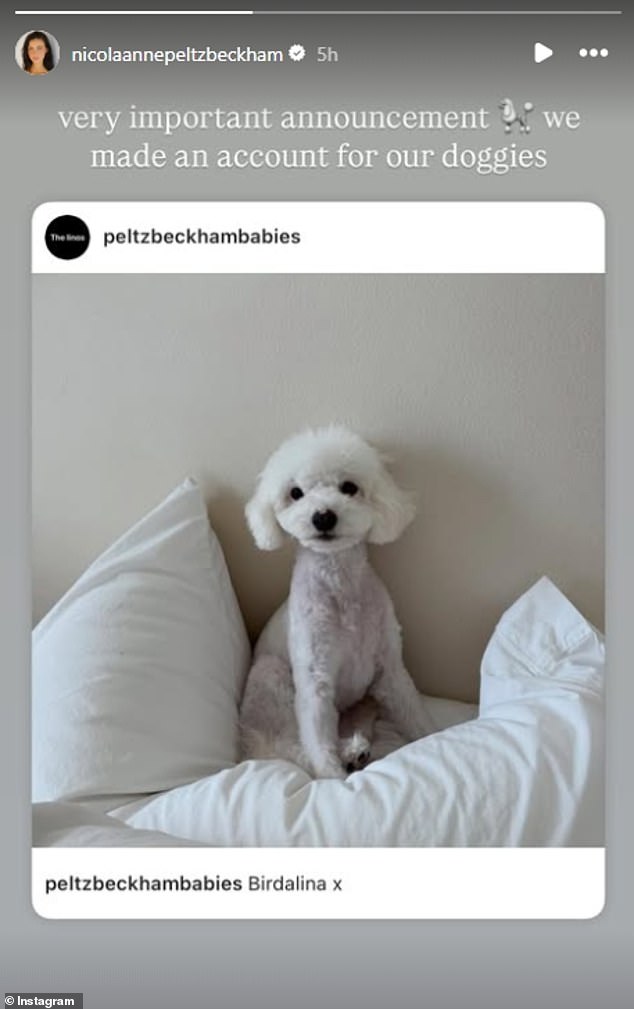 Taking to her Instagram stories on Sunday night, the actress informed her fans that she had a 'very important announcement' to make, before adding: 'We made an account for our doggies'