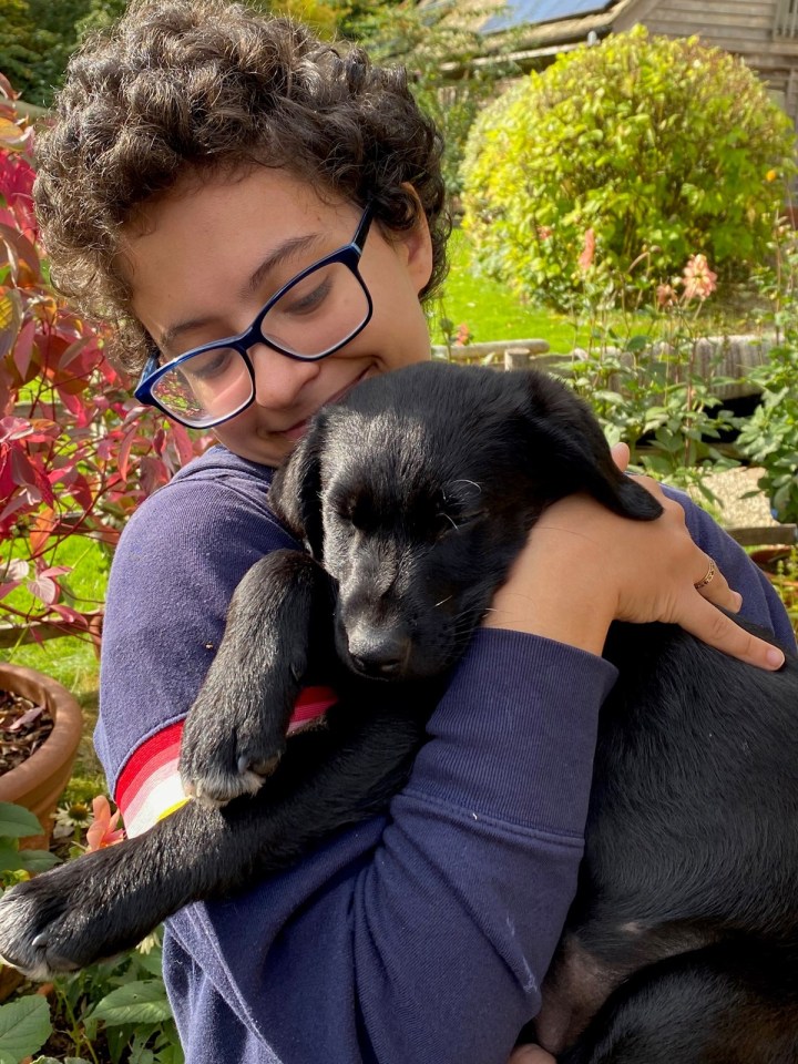 Person hugging a black puppy.