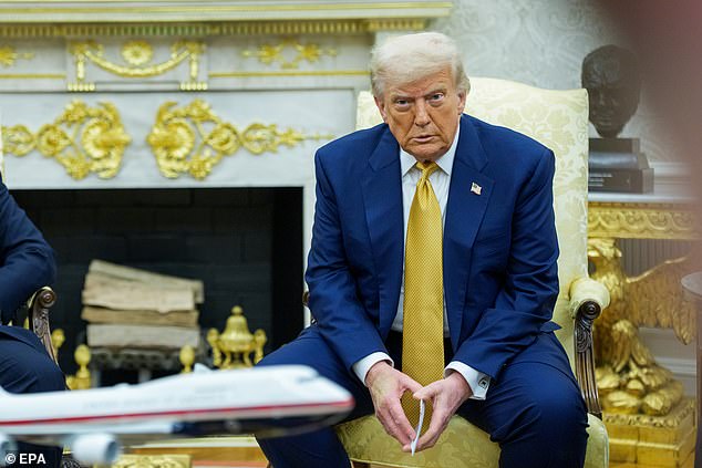 'Abbie Chatfield should be charged for demanding someone assassinate @realDonaldTrump & @AlboMP @AustralianLabor must condemn this vile threatening beast & apologise to the Australian people for associating with it,' wrote one person on social media