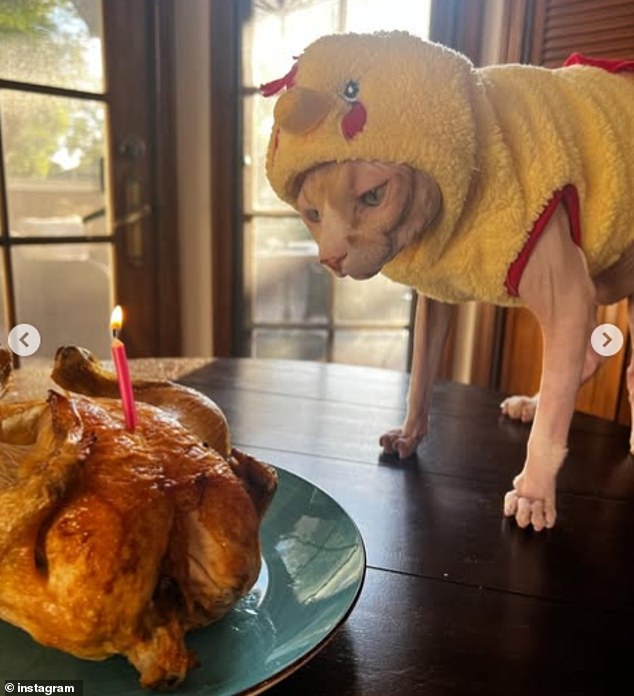 Some images show Creature cuddling up on his lap, or wearing adorable outfits for special occasions