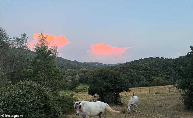A scenic shot captured horses with a mountainous sunset in the backdrop