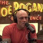Joe Rogan was slammed by actor, Mark Ruffalo, for expressing disbelief that Donald Trump actually carried out his campaign promise of mass deportations