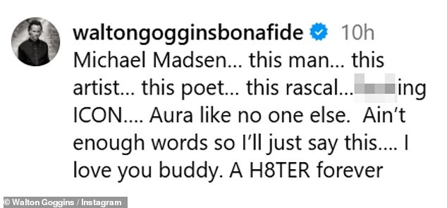 The White Lotus star Walton Goggins, who featured with Madsen in the 2015 Quentin Tarantino picture The Hateful Eight, shared a selfie of them with their castmate Tim Roth