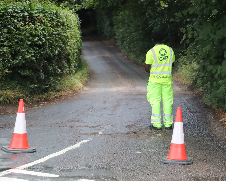 Road closed; worker in high-visibility clothing stands between traffic cones.